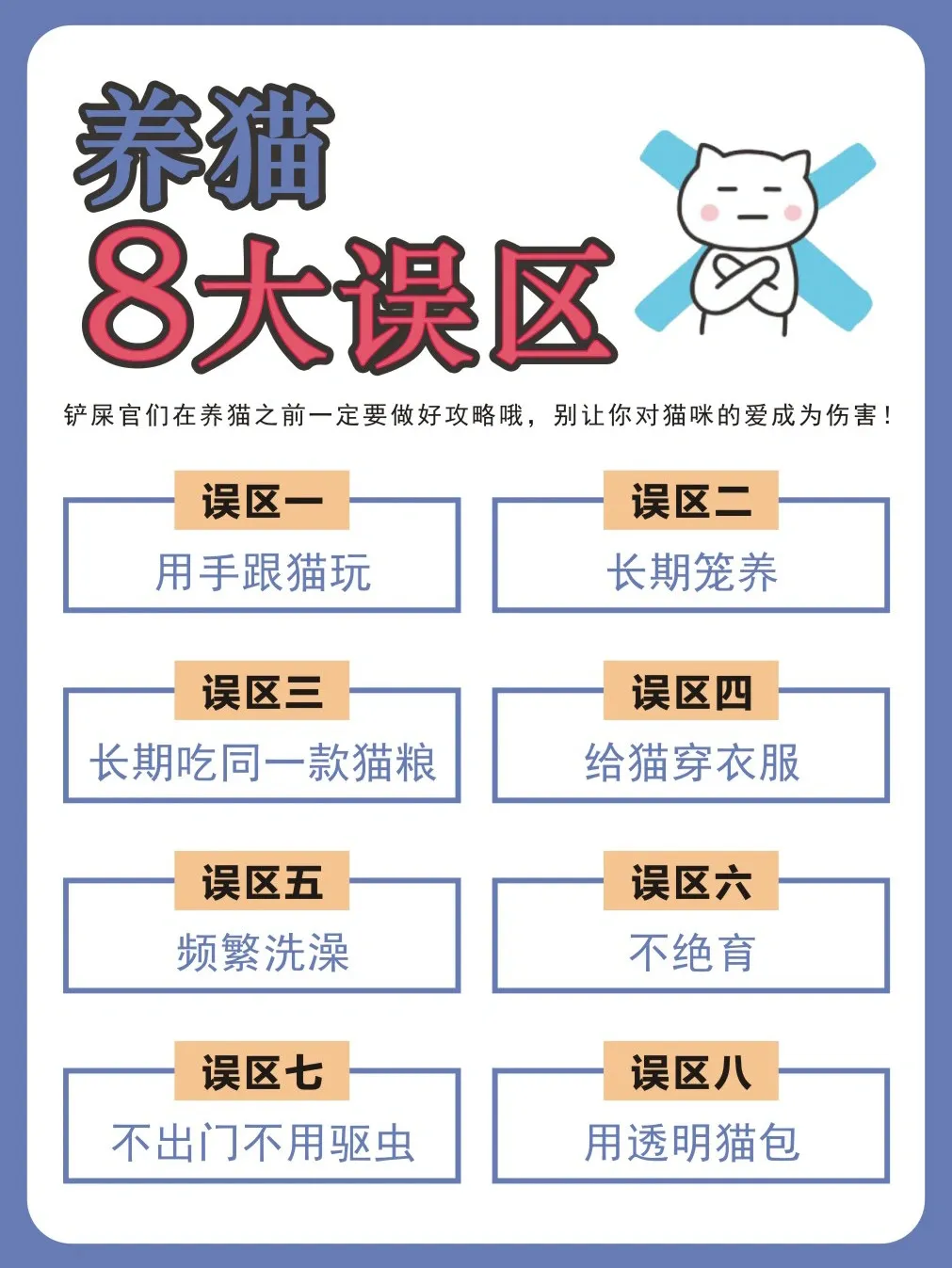 新手养猫 8大误区别让爱变成伤害