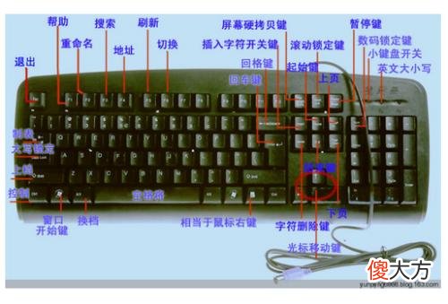 我最喜爱的电脑键是Ctrl 我的电脑是哪个键