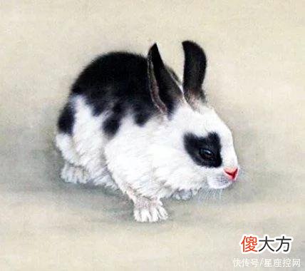 【十二星座】今年第二季度有个圆满结尾的生肖，收入拔高，日子转甜
