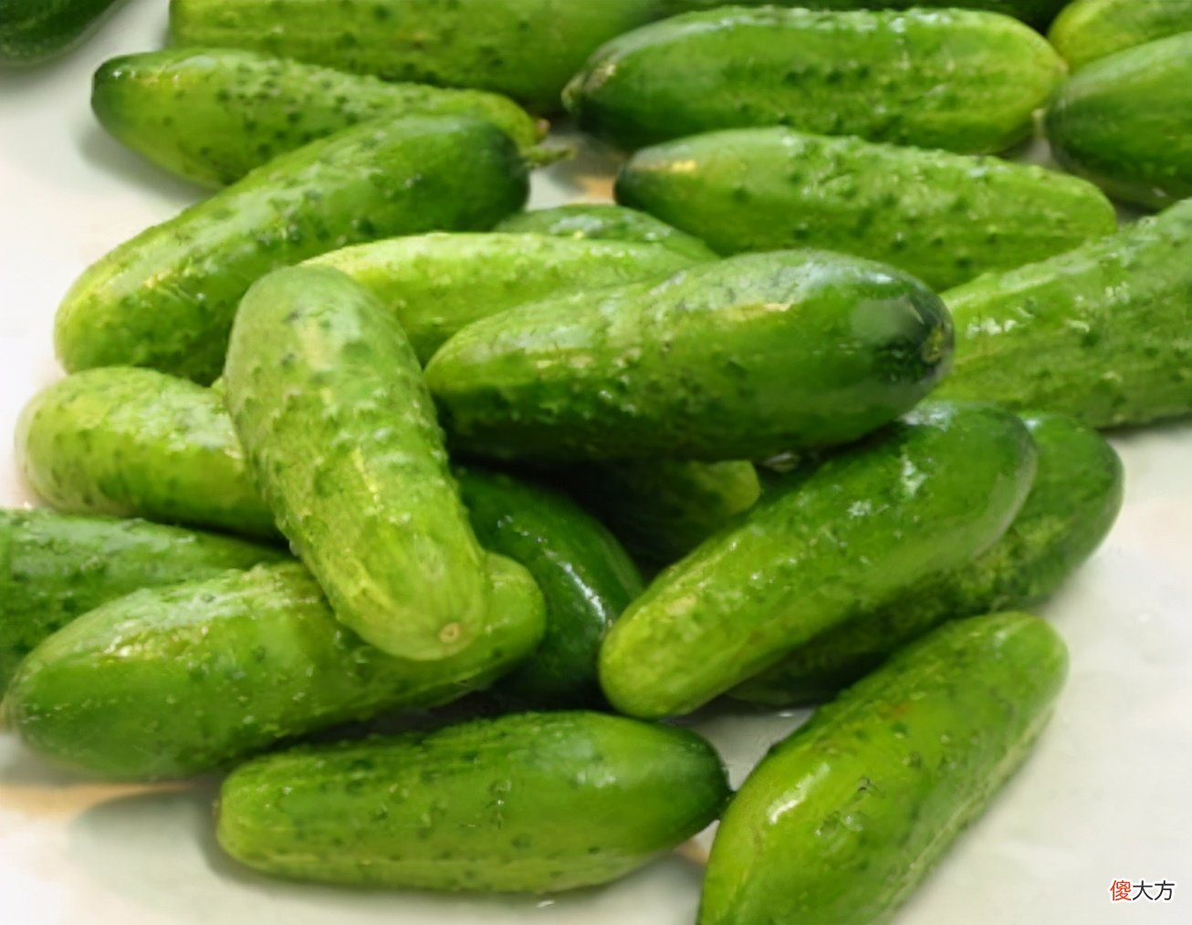 4种公认的低热量食材 低热量食材有哪些