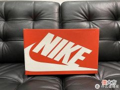 【就爱时尚】烟灰色斑马纹Nike Dunk Low Retro