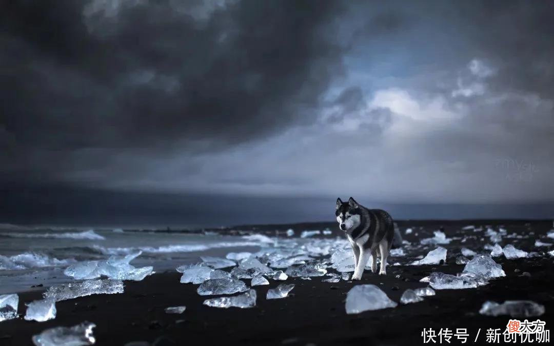 【十二星座】7月运势提点，天降大任，走出困境，更上一层楼的三个生肖