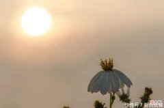【星座控】7月运势提点，贵人帮扶，福禄长久，富贵享不尽的三个生肖