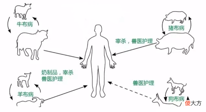 国人为什么很少吃马肉 为什么中国人很少吃马肉
