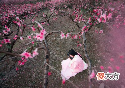 八字看你一生有多少桃花情缘