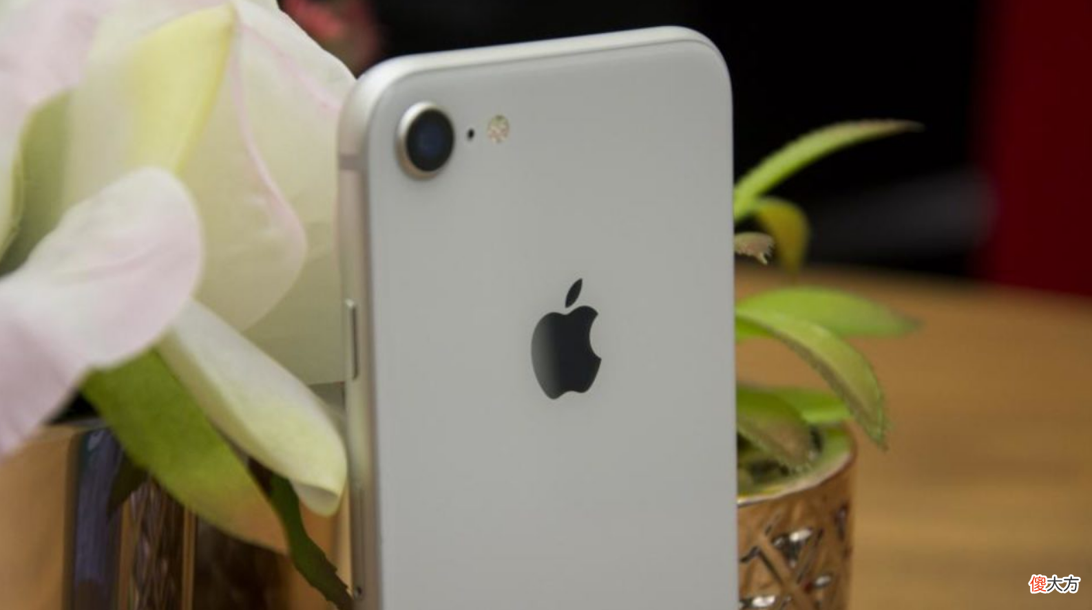最佳的Apple手机推荐 iphone手机最推荐