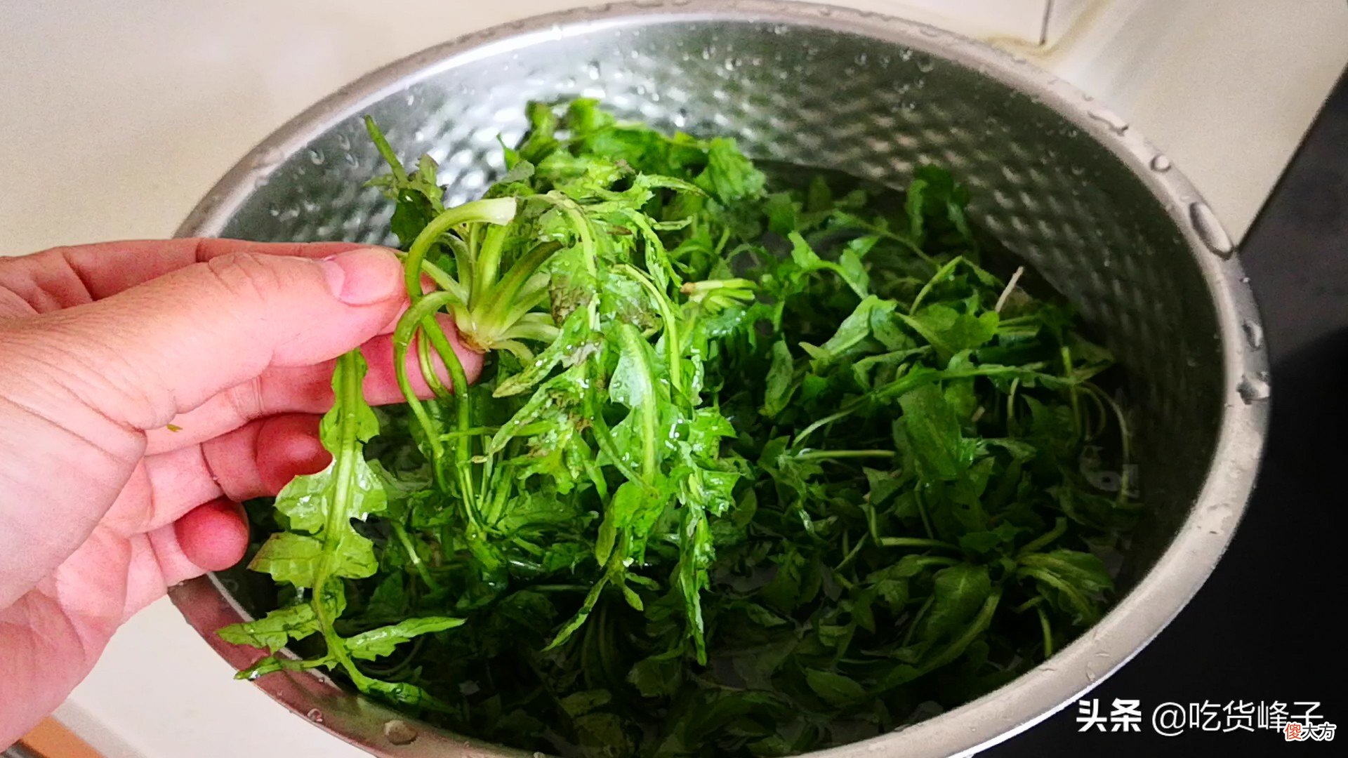 包饺子真好吃 包好看饺子