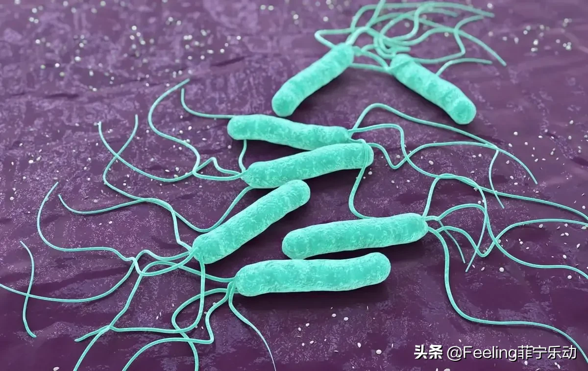 在我们的生活中，总是有一些美味的食物，我们知道他们有毒