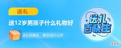 送12岁男孩子什么礼物好 12岁的男孩子适合送什么礼物