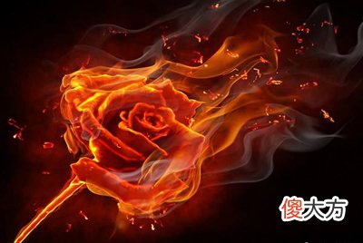 滴天髓论丁火