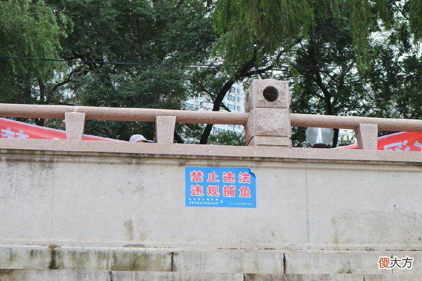 佳木斯沿江帅气的撒网捕鱼人，已成松花江畔靓丽一景