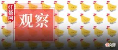 做鸡的餐饮品牌有多赚钱 做鸡的餐饮品牌有哪些