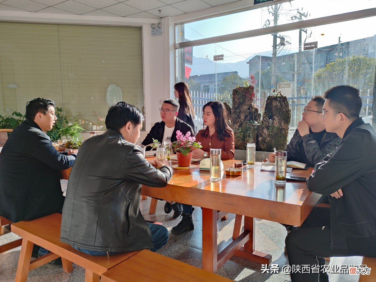 好山好水产好茶，省级农业品牌行第四站走进安康富硒茶