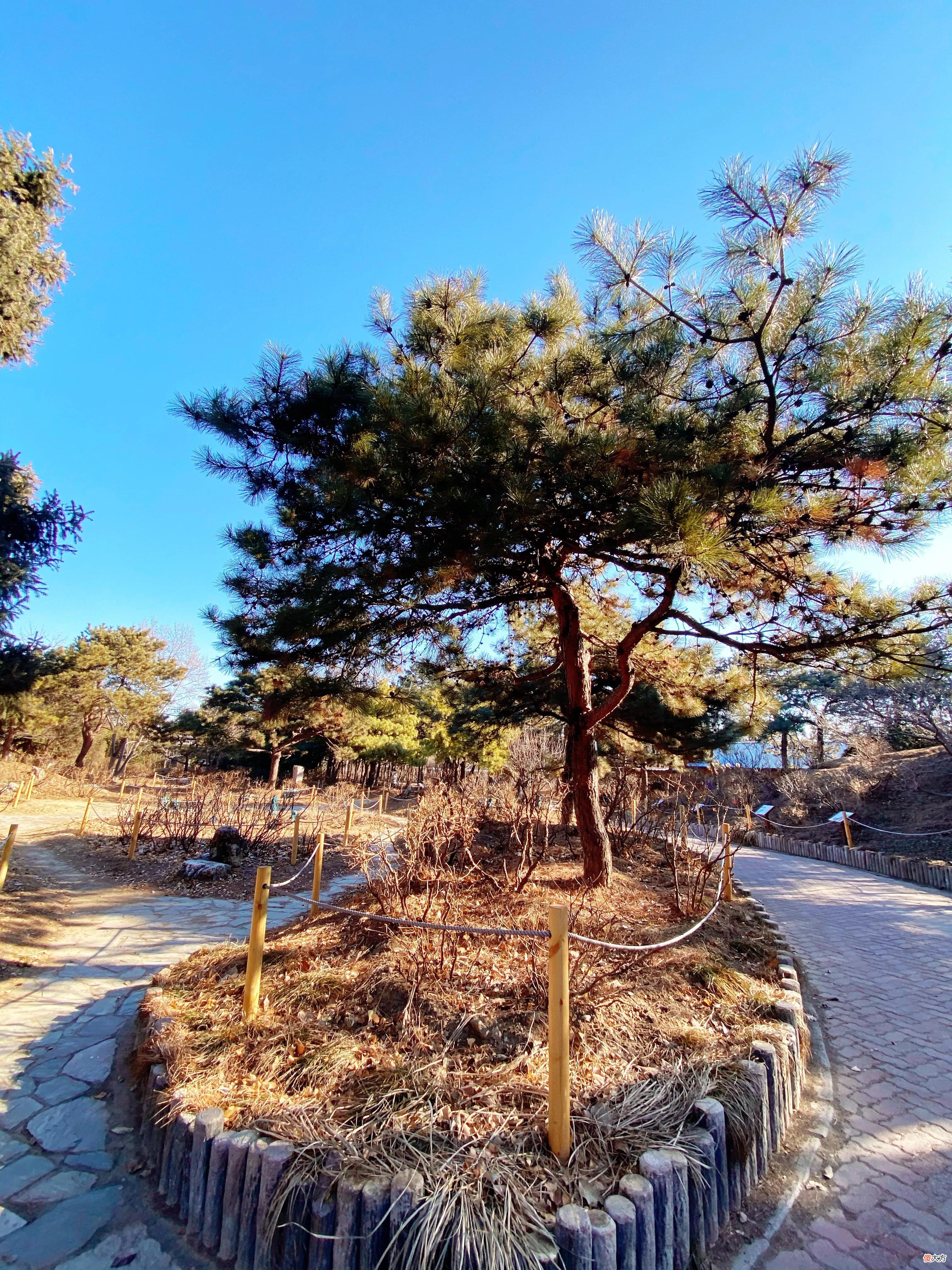 北京周末去哪儿 北京周末去哪儿逛