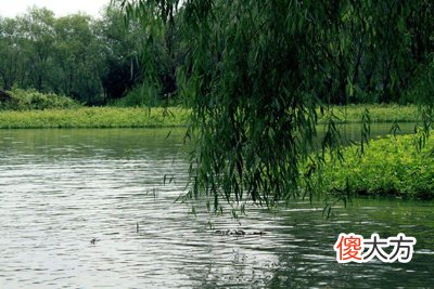 卯木日格的性格特征