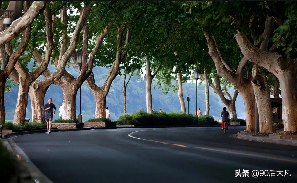 杭州最浪漫的马路，与西湖不相上下，号称一步一景