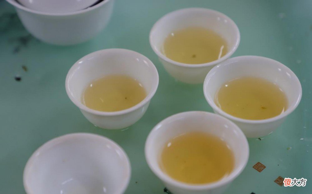 都有哪些茶品 茶有什么品类