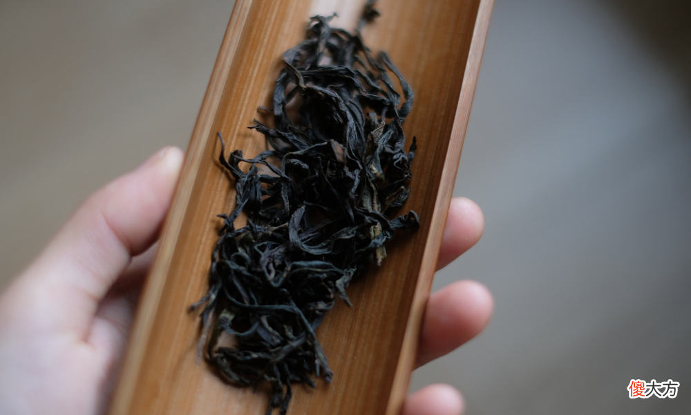 都有哪些茶品 茶有什么品类