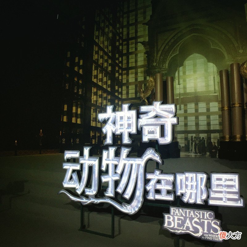 微距的手机镜头就足够了 微距镜头好的手机