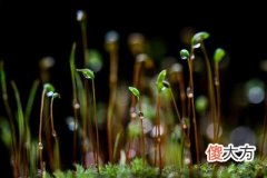 天干自然属性研究-癸水