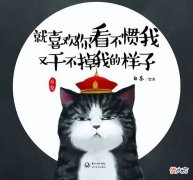 苹果手机就是好用 苹果手机真的好用