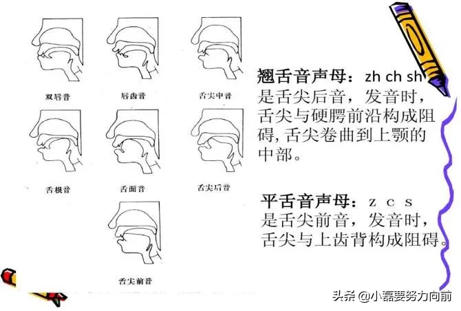 普通话不标准what可能是平翘舌原因思考下面小磊简单介绍一下平翘舌以及可