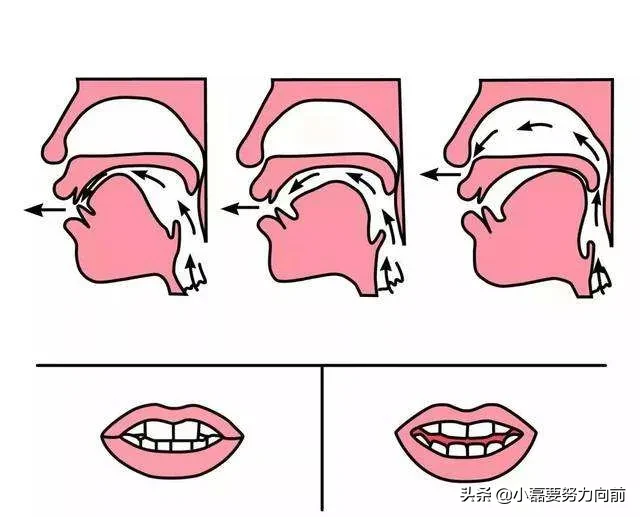 普通话不标准what可能是平翘舌原因思考下面小磊简单介绍一下平翘舌以及可