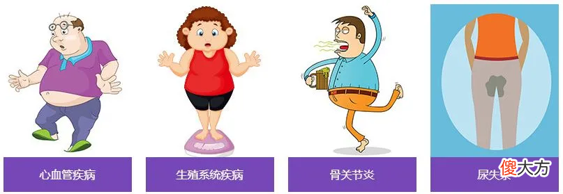 为什么说减肥行业是朝阳行业？
