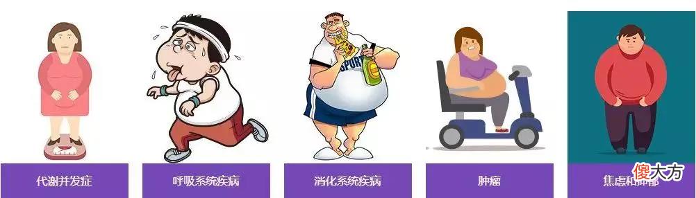 为什么说减肥行业是朝阳行业？