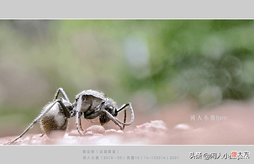 用什么样的手机才能拍摄出好看的照片 用手机怎样才能拍出好看的照片呢
