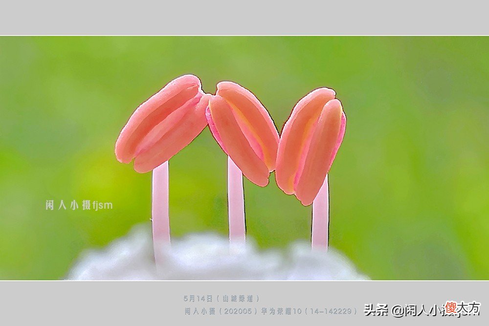 用什么样的手机才能拍摄出好看的照片 用手机怎样才能拍出好看的照片呢