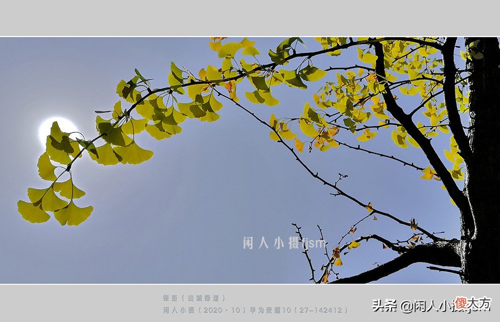 用什么样的手机才能拍摄出好看的照片 用手机怎样才能拍出好看的照片呢