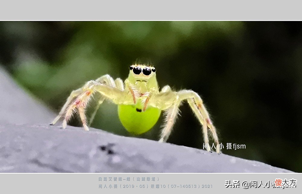 用什么样的手机才能拍摄出好看的照片 用手机怎样才能拍出好看的照片呢