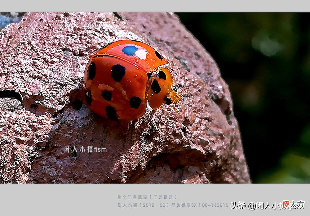 用什么样的手机才能拍摄出好看的照片 用手机怎样才能拍出好看的照片呢