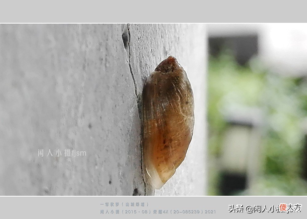 用什么样的手机才能拍摄出好看的照片 用手机怎样才能拍出好看的照片呢