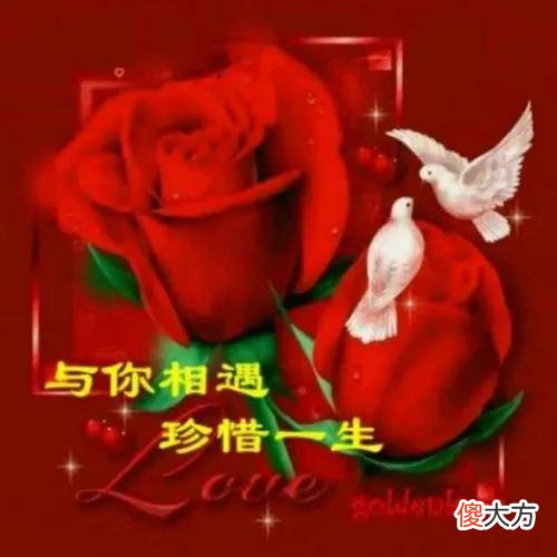 什么样的女人才算是好女人 怎样的女人才算是好女人