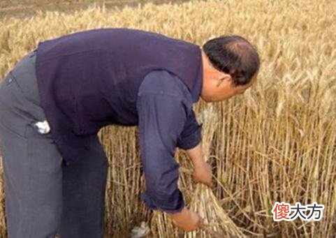 【爱历史】老照片：90年代的真实农村生活，80后的珍贵回忆