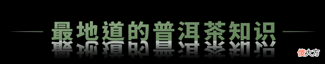 生普能焖泡吗 生普是泡着喝还是煮着喝