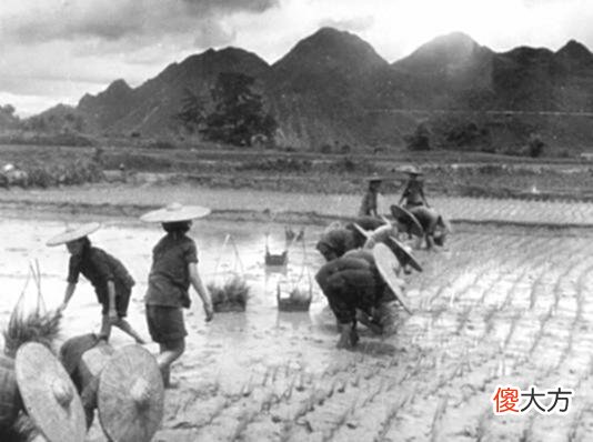 【爱历史】老照片：民国时期的广东江门，镜头中再现侨乡的曾经岁月