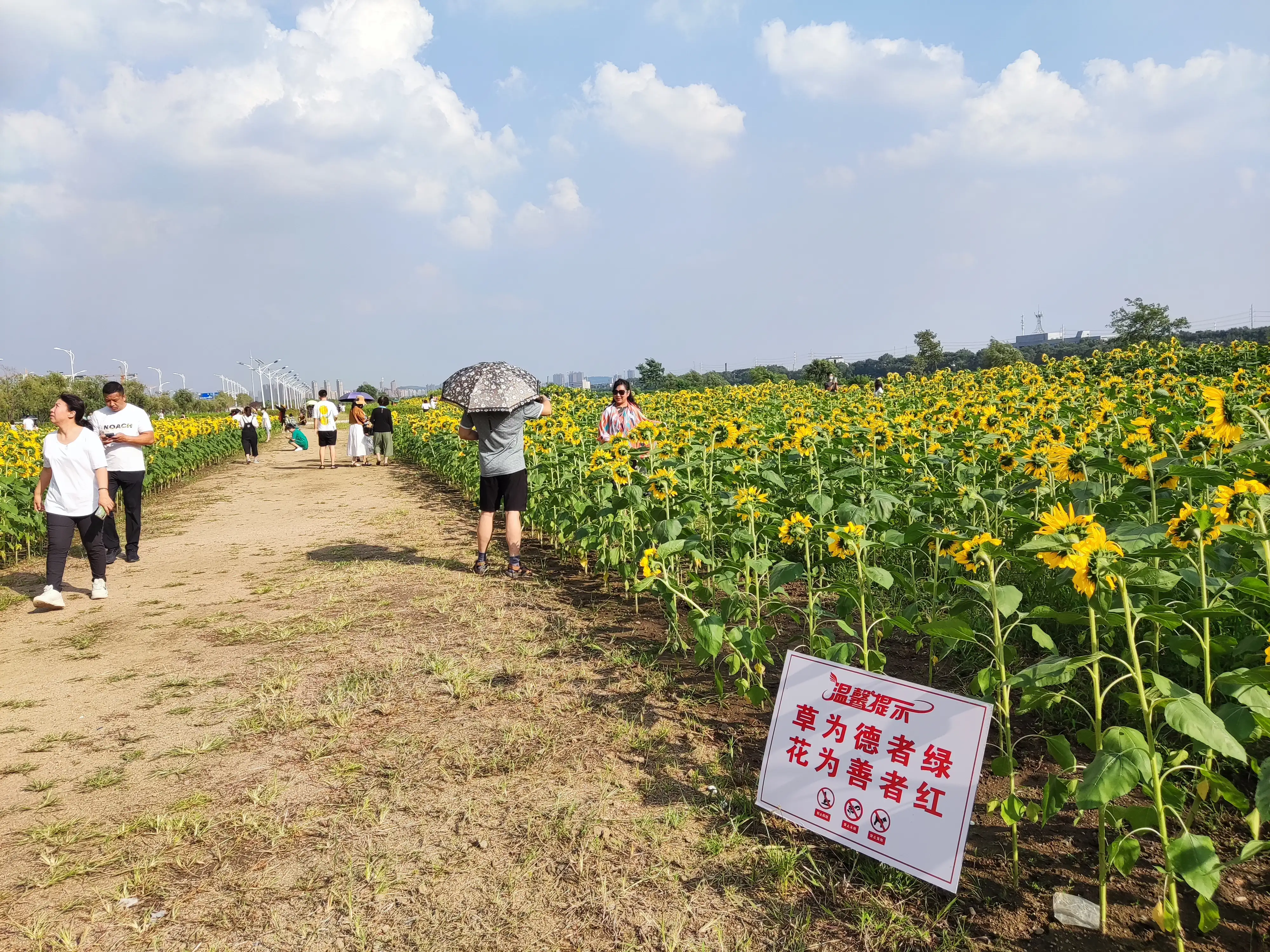 抚顺市又添一处新的网红打卡地啦！