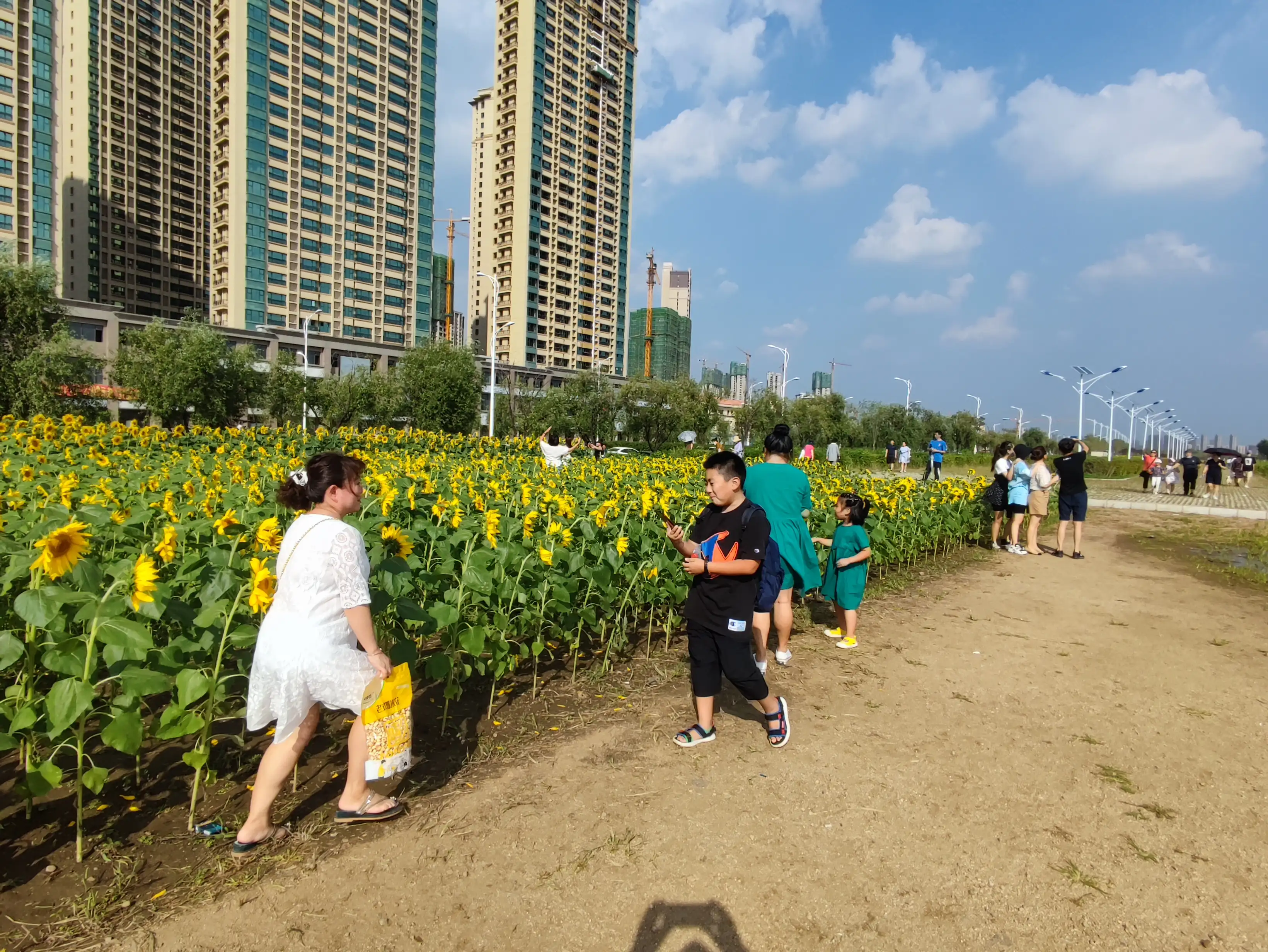 抚顺市又添一处新的网红打卡地啦！