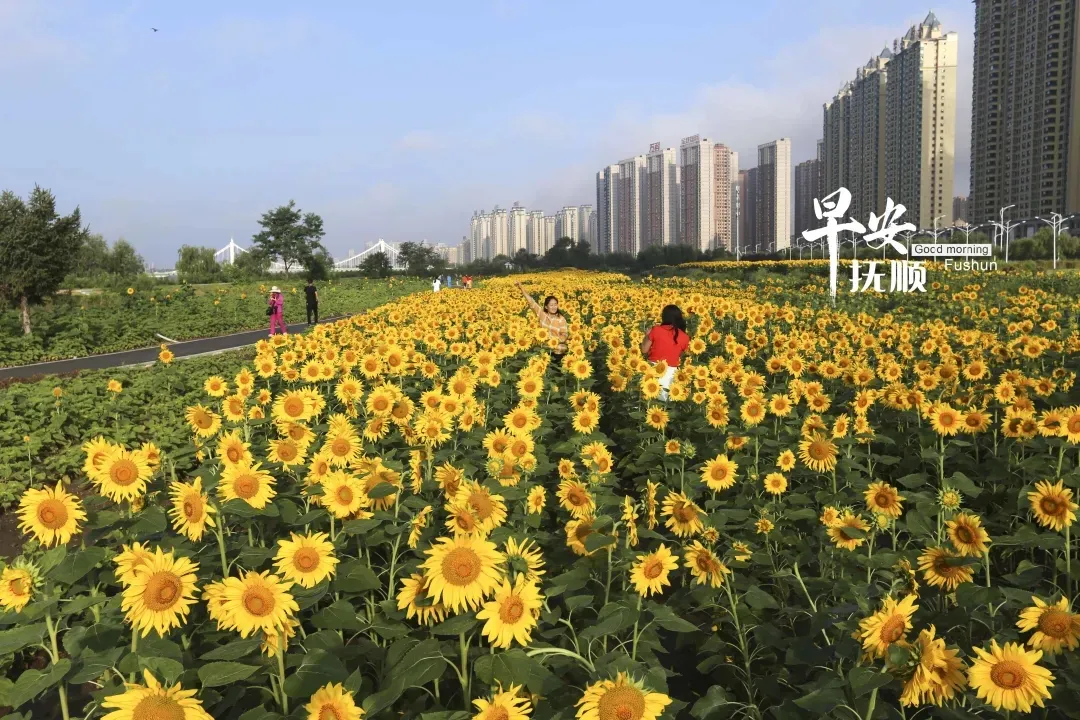 抚顺市又添一处新的网红打卡地啦！