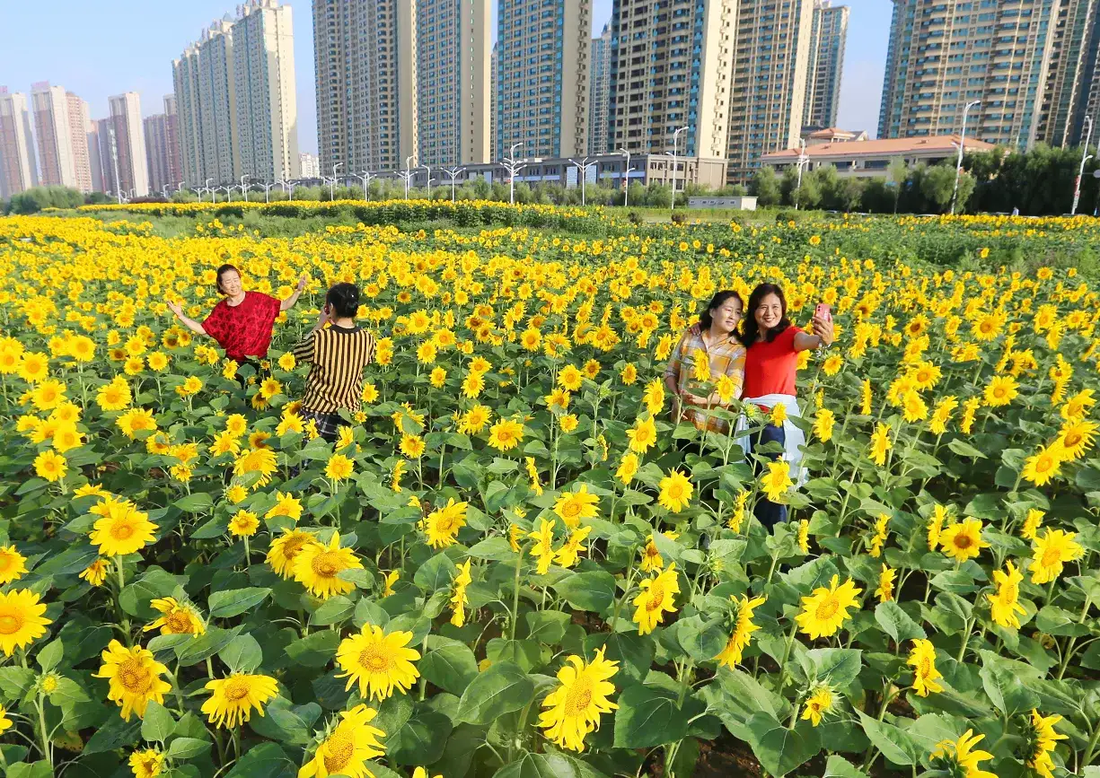 抚顺市又添一处新的网红打卡地啦！