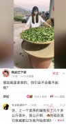 没有手机孩子们也还是可以玩的很开心 童年没有手机也很开心