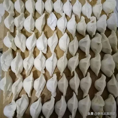 美媒中国承载全球疫苗供应希望专利饺子的故事
