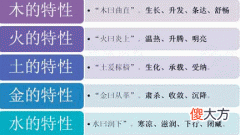 事物五行属性分类表