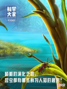 昆虫都有哪些鲜为人知的秘密 了解一些昆虫的秘密