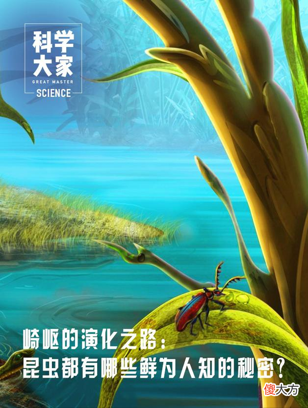 昆虫都有哪些鲜为人知的秘密 了解一些昆虫的秘密