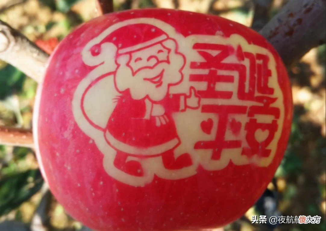 关于平安夜的冷知识你知道吗 关于平安夜的冷笑话