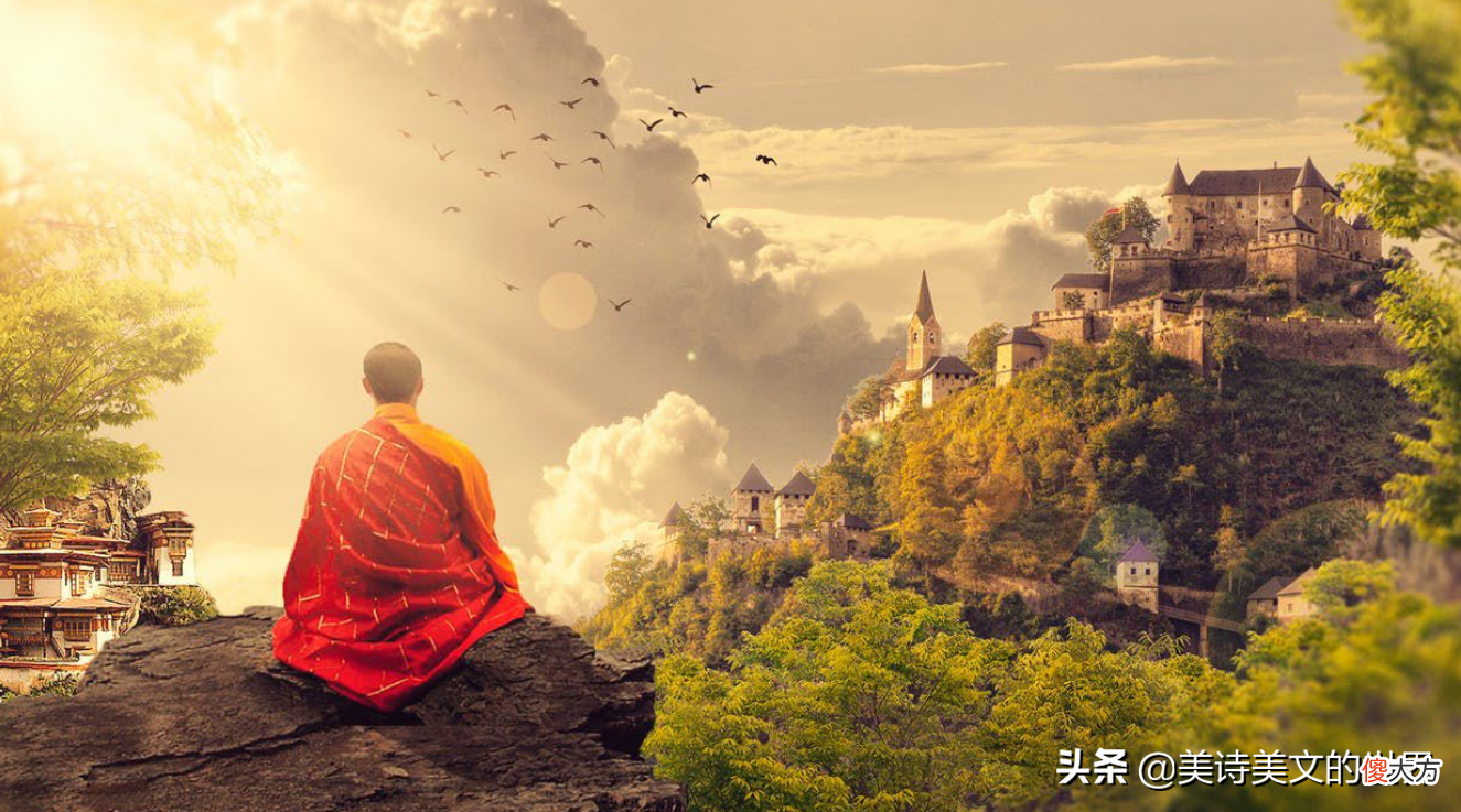 看见只苍蝇后顿悟了 看见苍蝇开悟